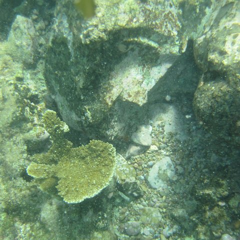 IMG_1342 IMG_1342
