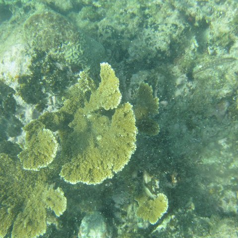 IMG_1343 IMG_1343