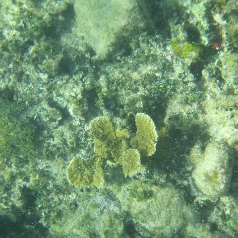 IMG_1344 IMG_1344