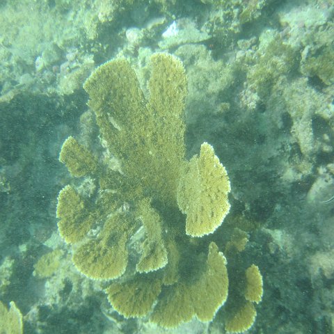 IMG_1345 IMG_1345