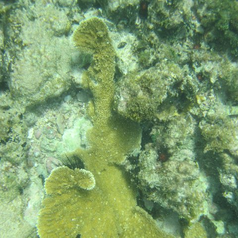 IMG_1346 IMG_1346