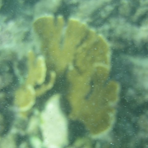 IMG_1347 IMG_1347