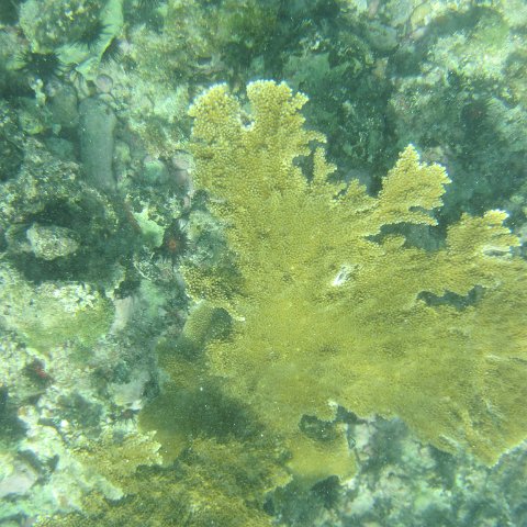 IMG_1349 IMG_1349