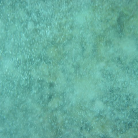 IMG_1352 IMG_1352
