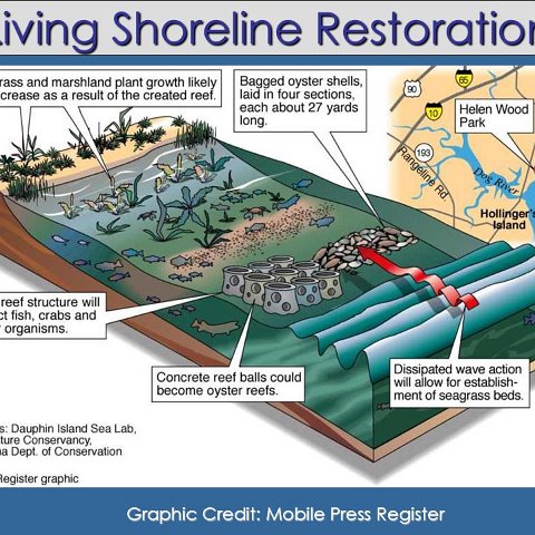 Living+Shoreline+Restoration