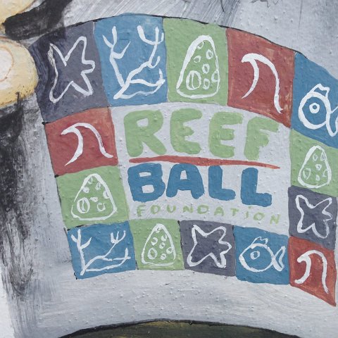 Argentina Reef Ball Projects and Photos