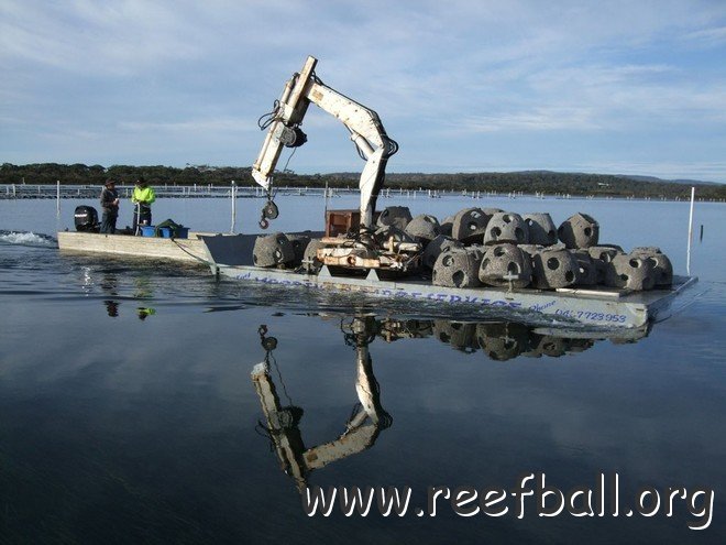 Alt_Reef balls being laid in Merimbula Lake