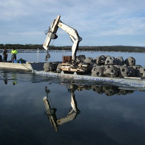 Alt_Reef balls being laid in Merimbula Lake