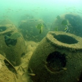 reef-bream-stripeys-banner-fish reef-bream-stripeys-banner-fish