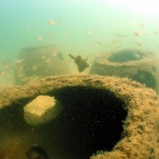 reef-fanbellied-leatherjacket