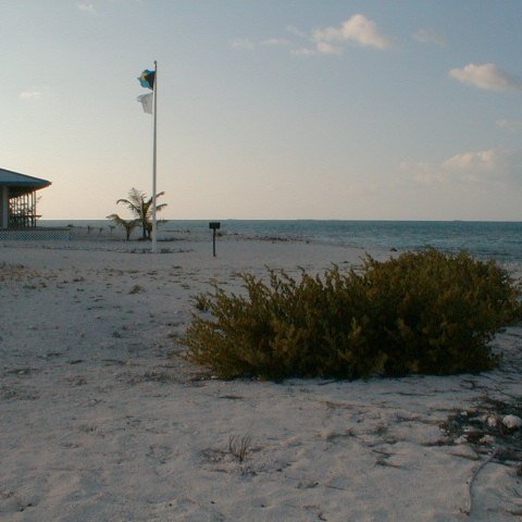 PIC00016 PIC00016