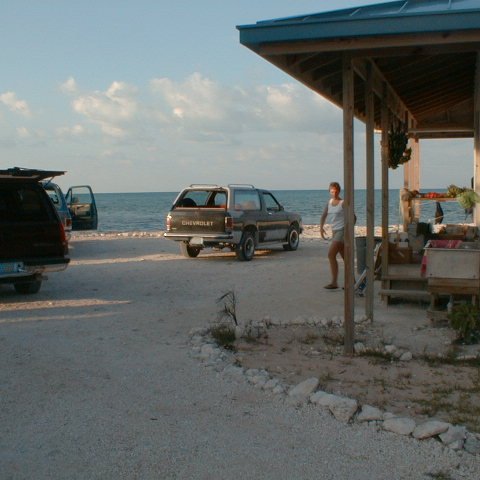PIC00018 PIC00018