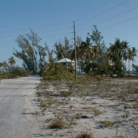 PIC00004 PIC00004
