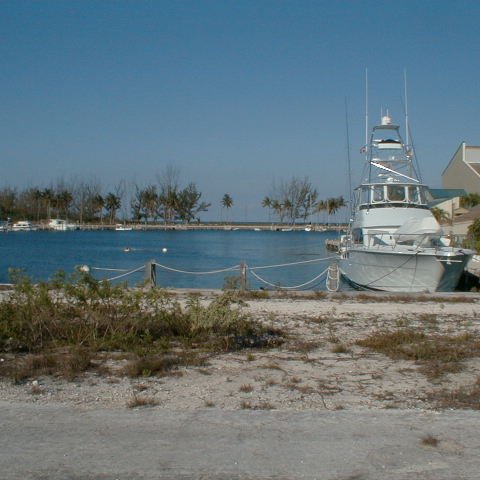 PIC00007 PIC00007