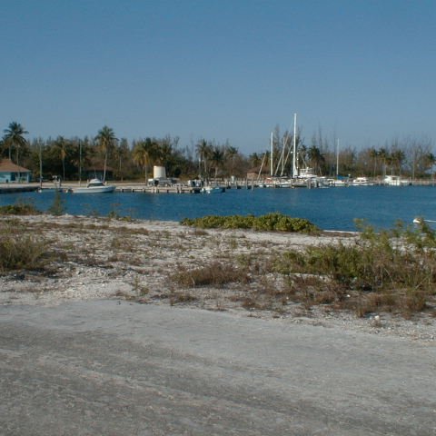 PIC00008 PIC00008