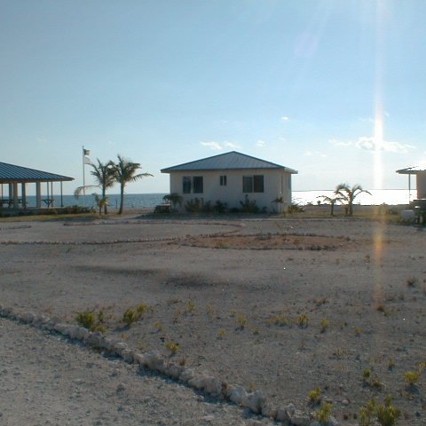 PIC00016 PIC00016