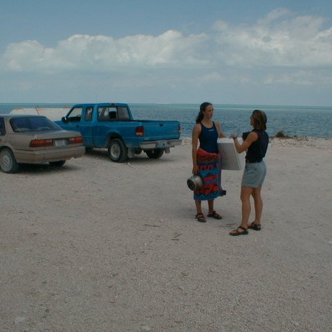 PIC00041 PIC00041