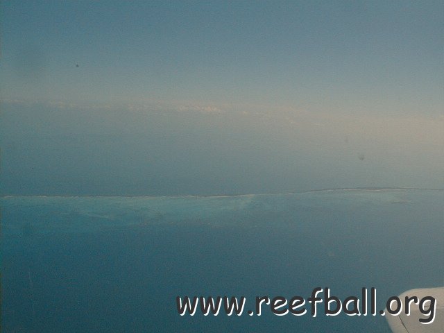 PIC00037