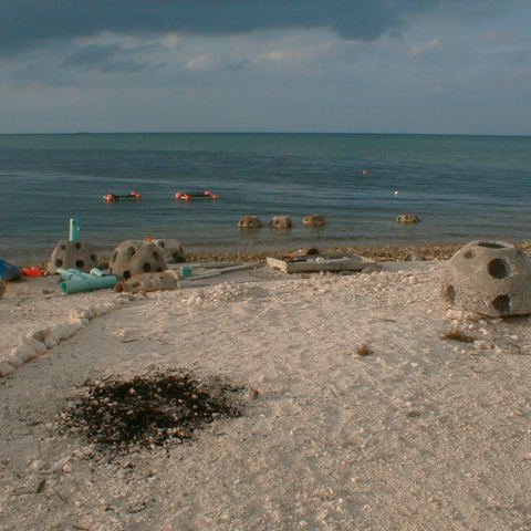 pic00010 pic00010
