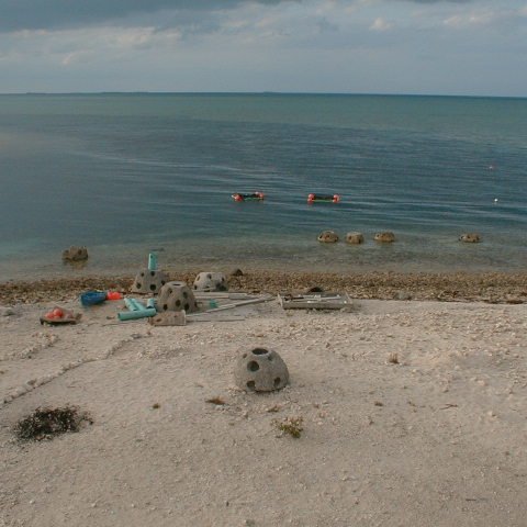 pic00012 pic00012