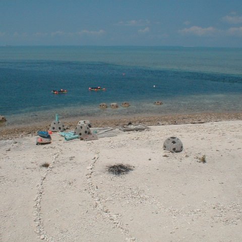 pic00026 pic00026