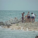 Reef Ball Erosion Control Project