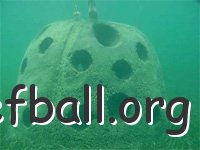 reefball_underwater