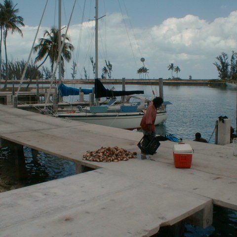 pic00001 pic00001