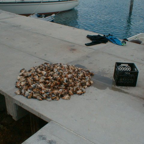 pic00002 pic00002