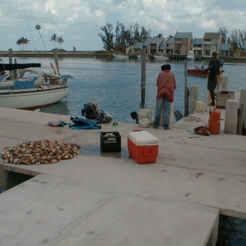 pic00004 pic00004