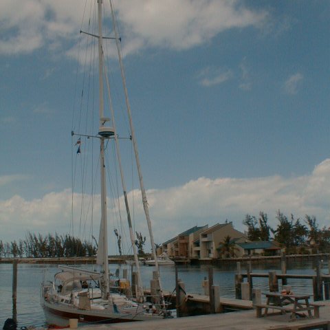 pic00005 pic00005