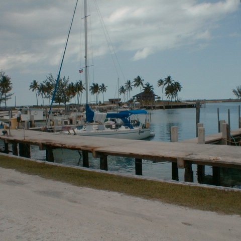 pic00006 pic00006