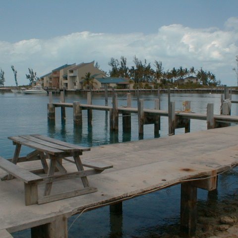 pic00007 pic00007