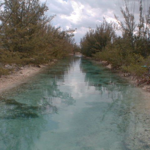 pic00008 pic00008