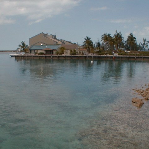 pic00009 pic00009