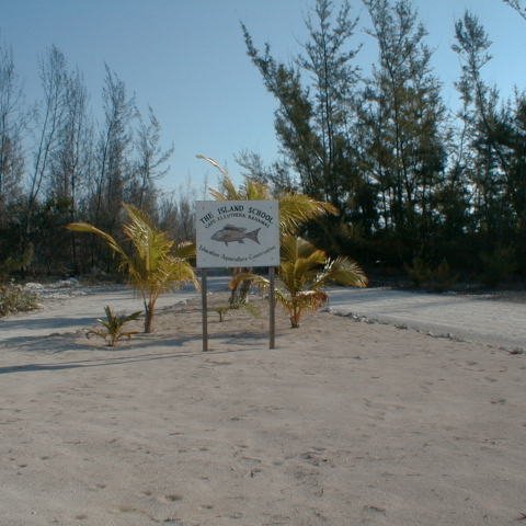 pic00012 pic00012