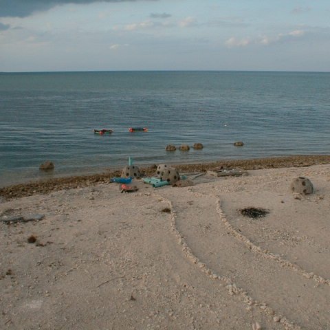 pic00016 pic00016