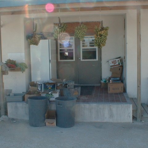 pic00021 pic00021