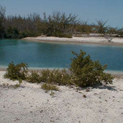 pic00028 pic00028