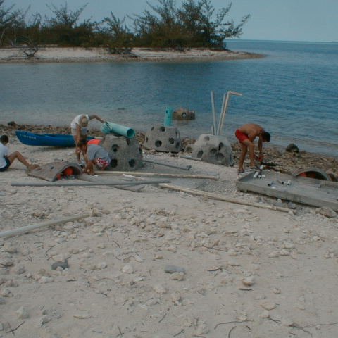 pic00042 pic00042
