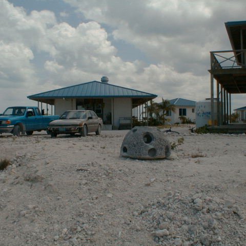 pic00046 pic00046