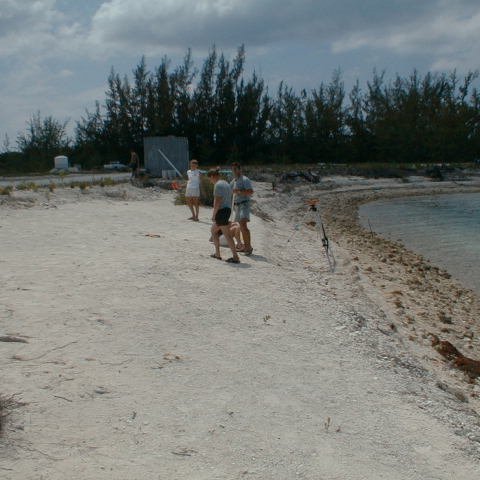 pic00047 pic00047