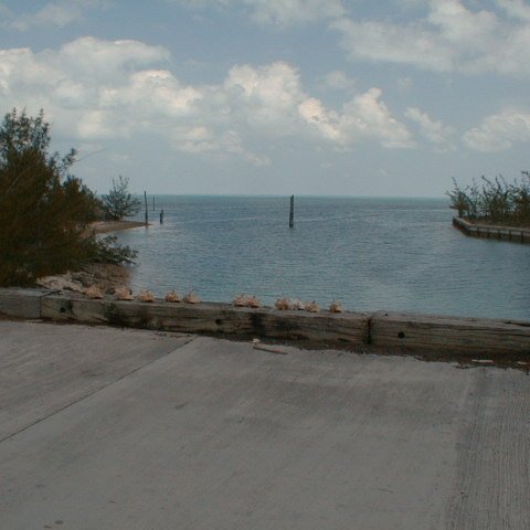 pic00049 pic00049