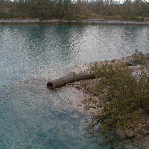 pic00050 pic00050