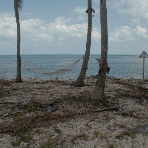 pic00052 pic00052