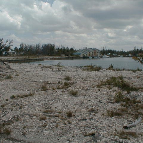 pic00053 pic00053