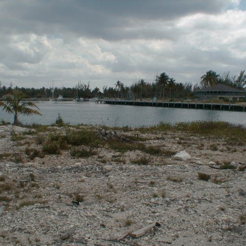 pic00054 pic00054