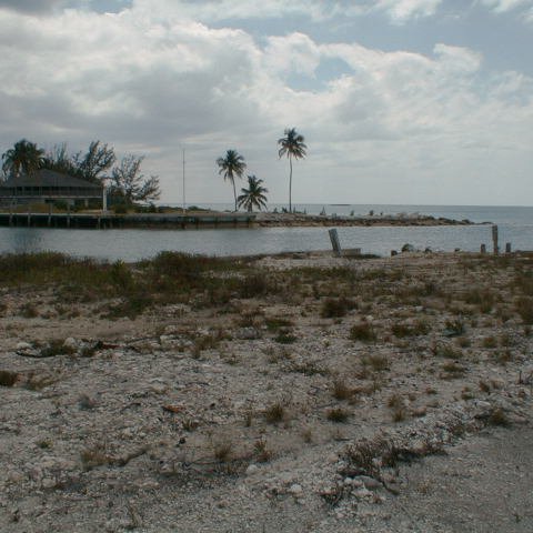 pic00055 pic00055