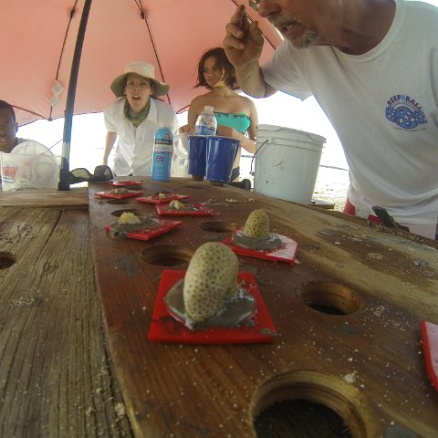 GOPR0160 GOPR0160