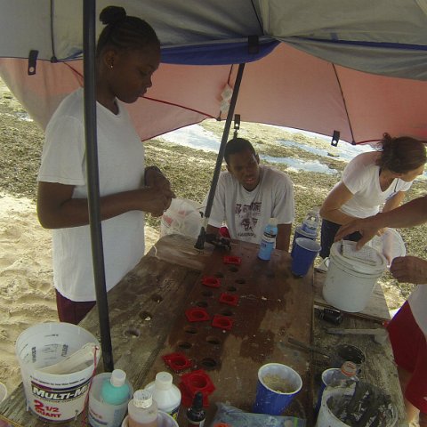 GOPR0166 GOPR0166